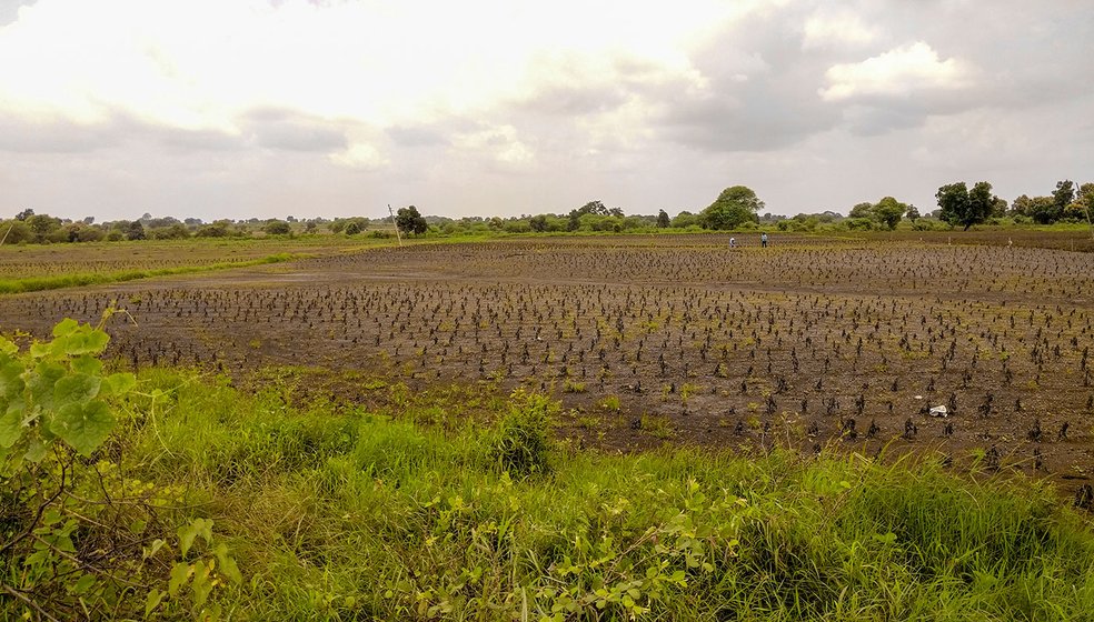 The damaged fields in Karanji village. The LPS beneficiaries’ lands were perpendicular to the canal. As the spread of the flood was larger, almost everything was washed away
