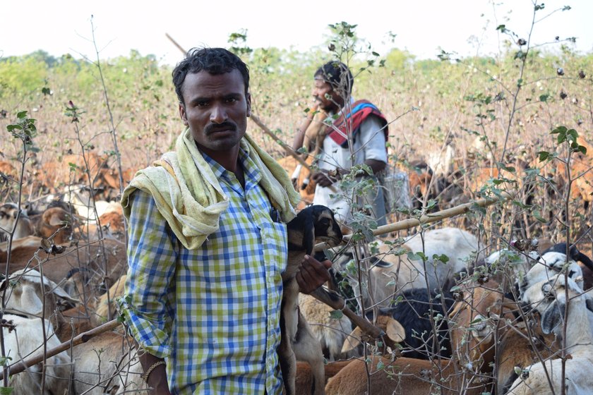 Left: Avula Mallesh and the other herders are not being allowed into the village to buy vegetables. Right: Tirupatiah preparing a meal with the rice, dal and vegetables given by the owner of the land where the flock was grazing  

