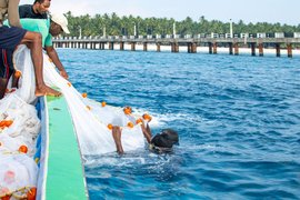 लक्षद्वीप: जलवायु परिवर्तन के चलते नष्ट होता समुद्री जीवन