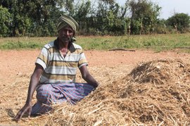 Farmer Narayanappa’s day is never done