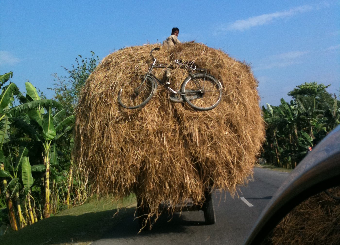 In journeys along rural Indian roads , you sometimes run into the delightfully bizarre