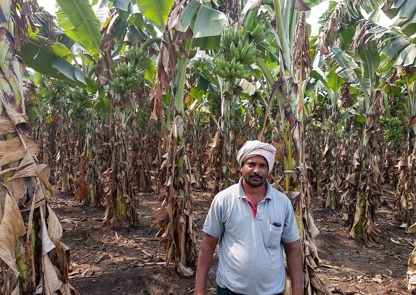 Krishna Reddy in front of his farm