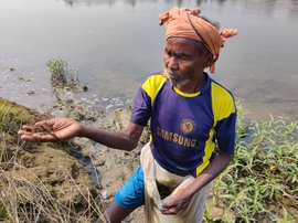 कांगसाबती नदी मं खोजत मछरी अऊ अजादी