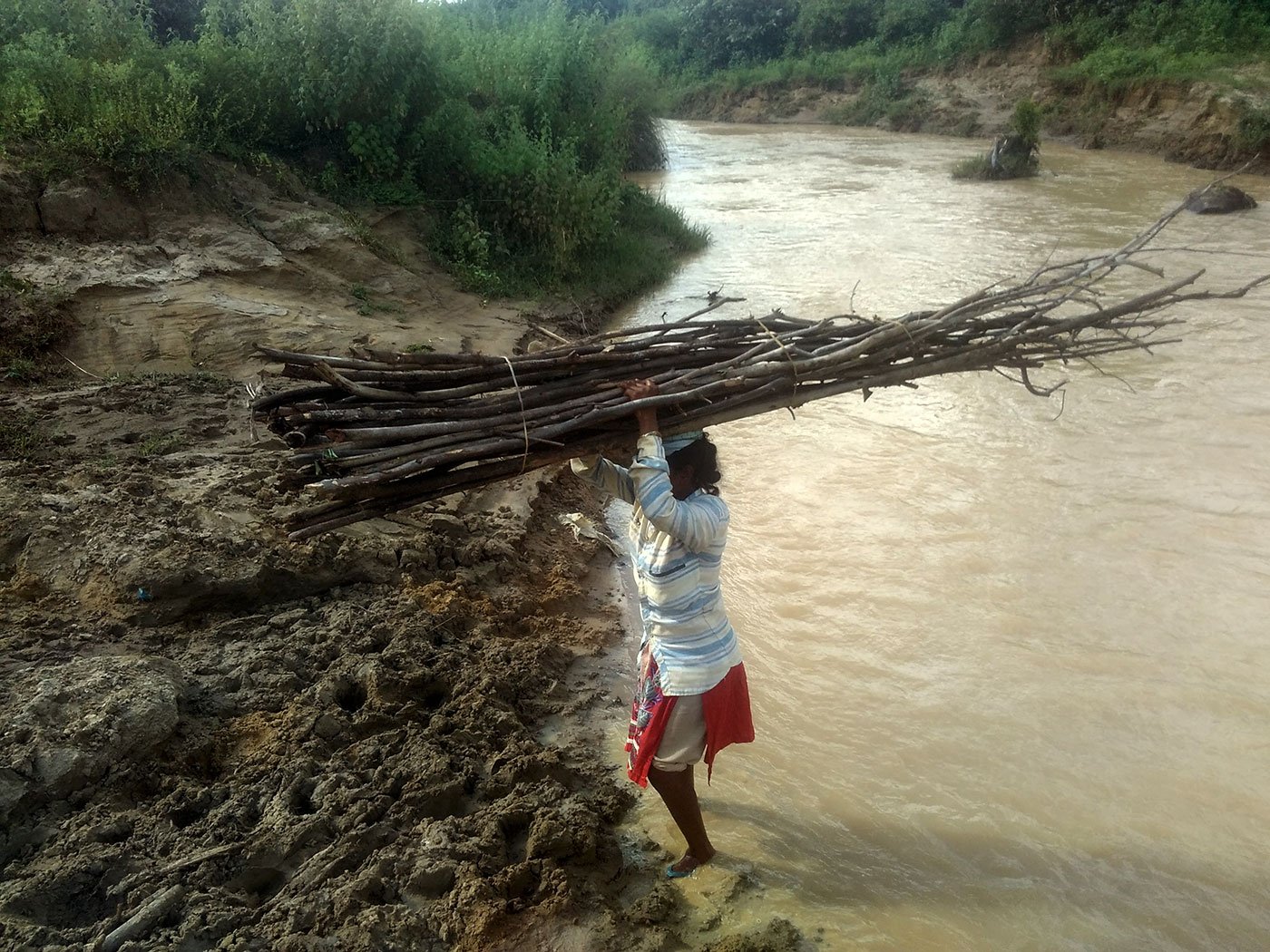 Allam Pavani, 16, carrying wood from the forests to the village. The wood stack on her head would weigh no less than 10 kgs and she has to walk three kilometers crossing streams and forests to reach her village. 