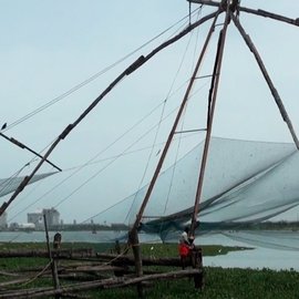 Casting a net in Fort Kochi