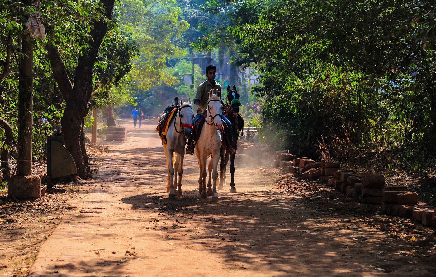 The keepers of the 460 horses of this hill station in Maharashtra’s Raigad district walk or run upto 25 kilometres uphill every day through Matheran’s dusty soil, with horse-borne tourists