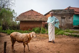 تمل ناڈو: راگی کے کاشتکار ناگی ریڈی کی دنیا