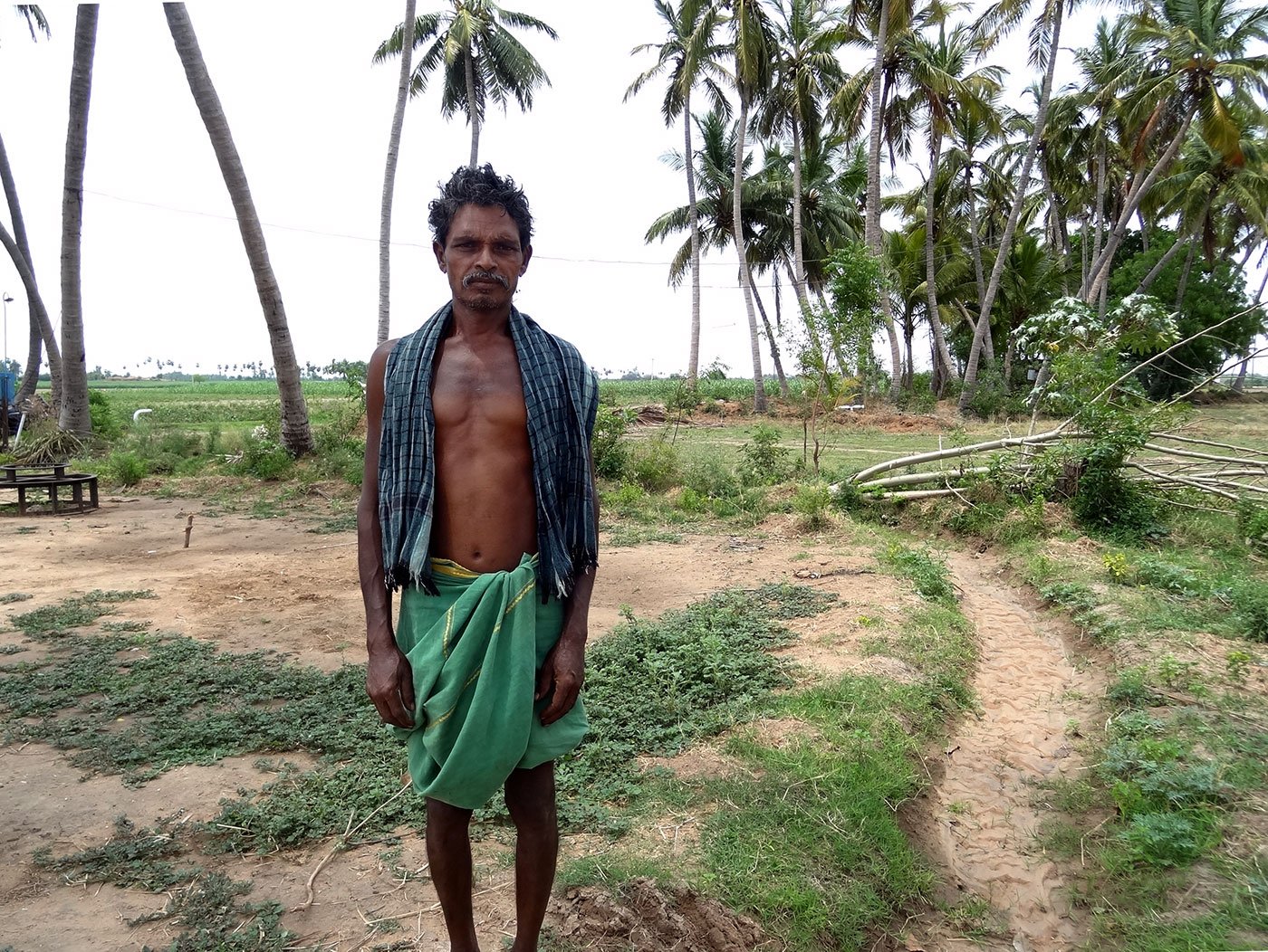 K Lekan, fondly known in his village as Settu, stands against the backdrop of wilting farms in his village Thayanur, 25 km from Trichy town, lucky to have survived a suicide bid earlier this year amidst a raging drought.
