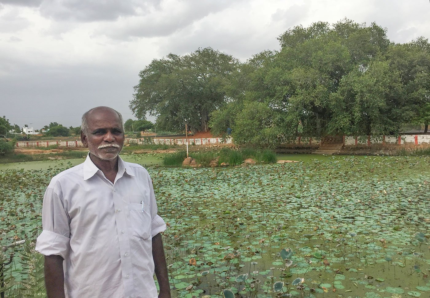 Pon Harichandran standing by a lake filled with lotuses