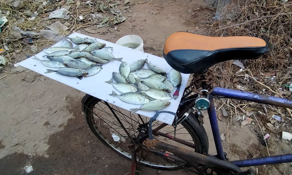 Left: Kasarapu Dhanaraju sold the fish secretly, on a 'stall' on his old rusted cycle. Right: Pappu Devi, who cleans and cuts the fish, says, 'I think I will survive [this period]'


