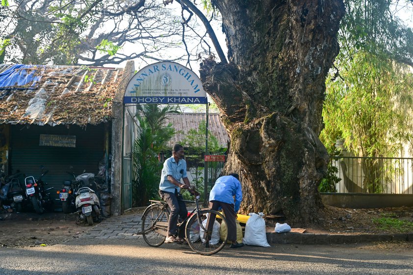 Left: Kochi's Dhobi Khana, the public laundry, is located at one end of the Veli ground.