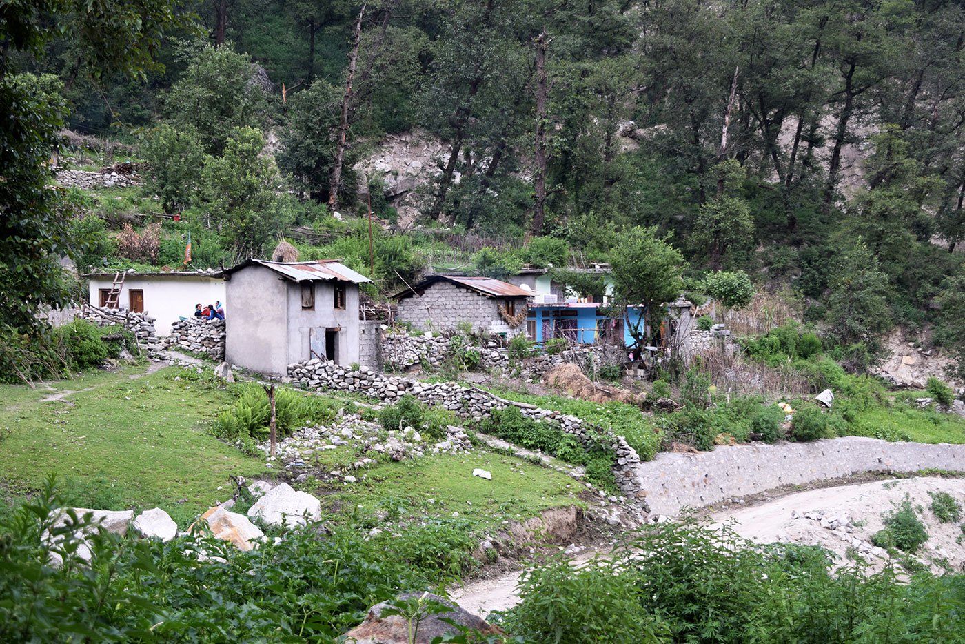 Keeda-jadi has transformed villages around Dharchula. New houses and shops have sprouted around