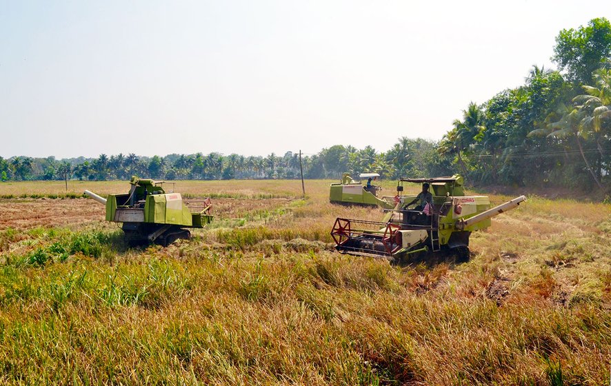 Large Hitachi tractors are used to harvest the fields. These tractors are used on levelled  ground. However many parts of the field are uneven and marshy which is why and where MNREGA are commissioned  to the harvesting work.