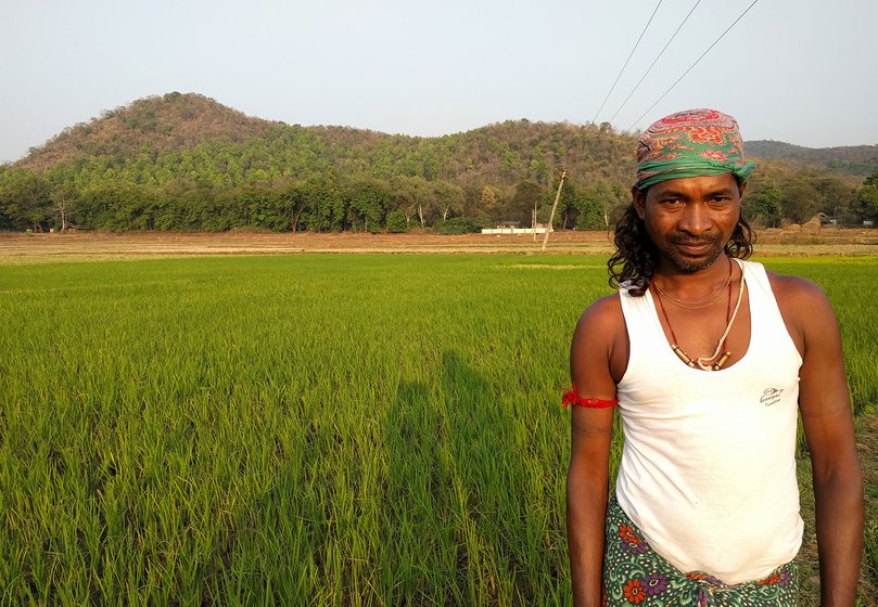 Tankadhar Pujhari, Kamala Pujhari’s son, at their one-acre lowland paddy farm in Patraput hamlet