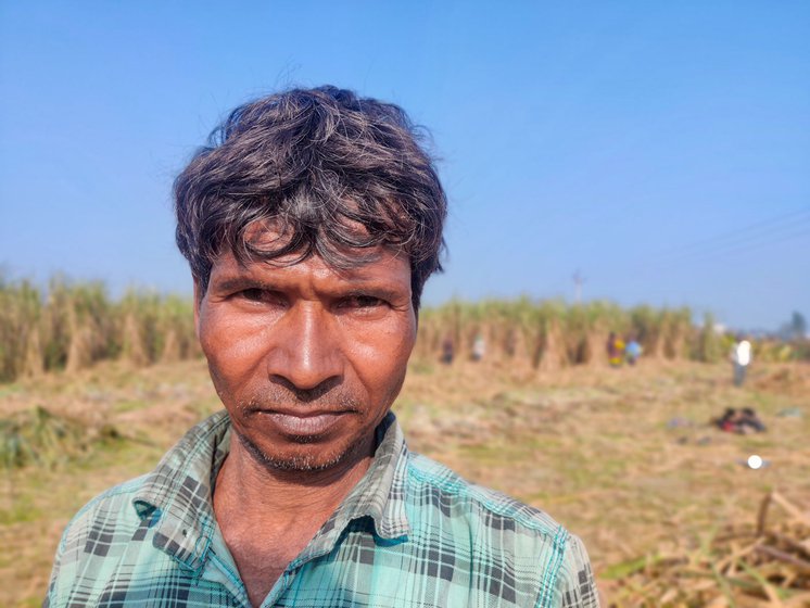 Farmer Rajmahal Mandal from Bihar's Barhuwa village cuts sugarcane in Gagsina village, Haryana, to earn more and take care of his family