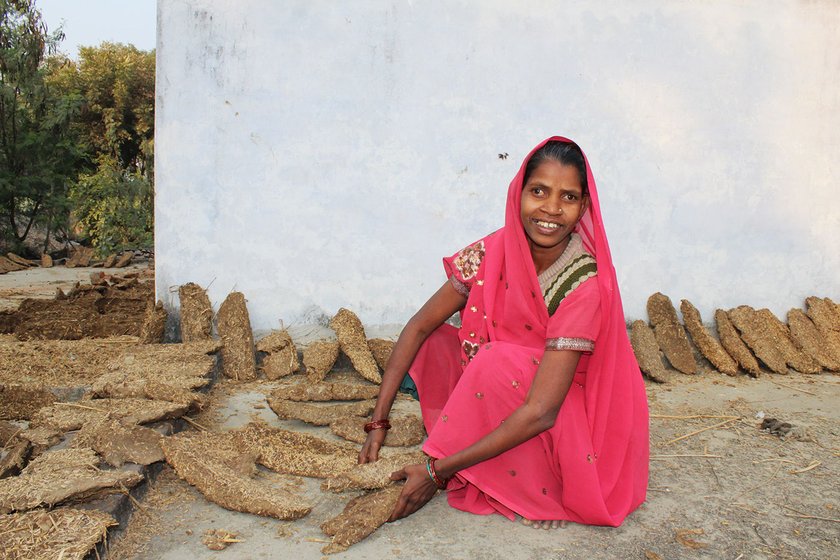 Usha makes cow dung cakes at her brother Lalji Ram's home in Dandopur 