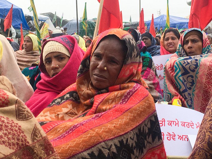 Pamanjeet Kaur, 40, a Dalit labourer from Singhewala village in Malout tehsil of Muktsar district, Punjab, was among the 300 women members of Punjab Khet Mazdoor Union who reached on the outskirts of the national capital on January 7. They all returned to Punjab on January 10. Right: Paramjeet's hands