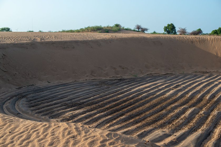 Honnureddy’s painstakingly laid out rows of plants were covered in sand in four days. 
