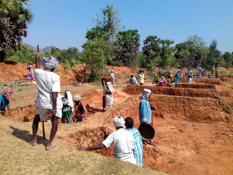 Labourers in MGNREGA work sites taking part in land development work on the outskirts of Munagapaka village