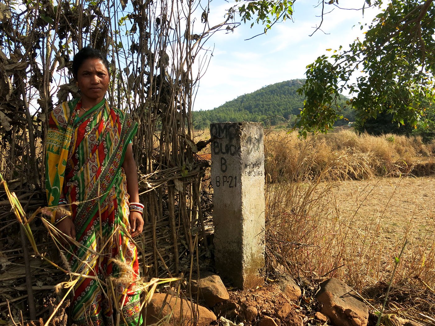 In several farms of Adivasi villagers, Odisha Mining Corporation pillars mark the lease area of its proposed Gandhamardan mine