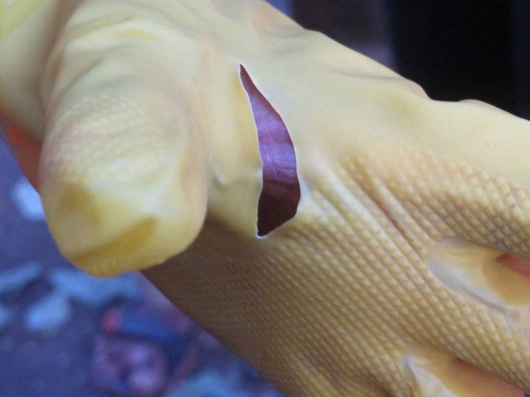 'We got these [rubber] gloves only yesterday [March 20]', Katin says. “These are new gloves, but see – this one has torn. How do we keep our hands safe in this kind of garbage with such gloves? And now there is this virus. Are we not human?'


