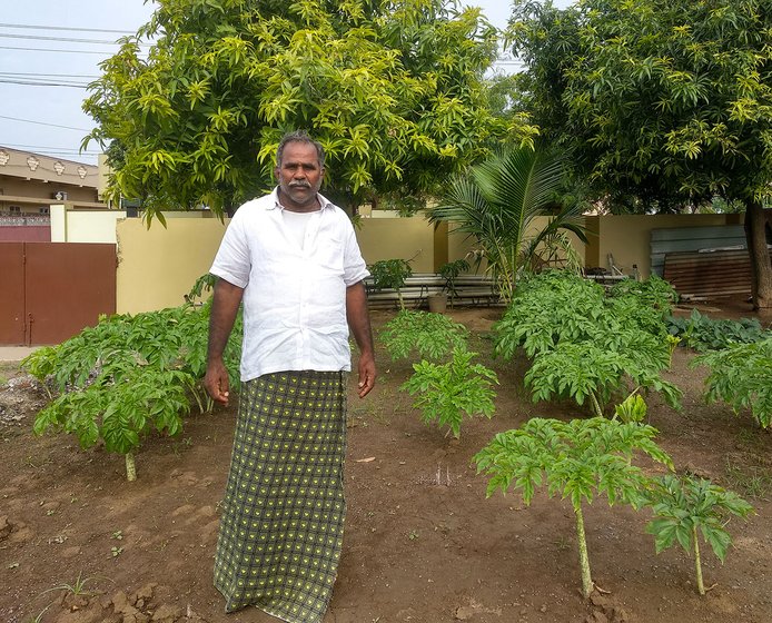 Nagamalleswara Rao’s front yard, where he grows 12 to 15 crops including ladies finger, mango, chikoo and ivy gourd. His love for farming has led him to grow more crops in his front yard. 	