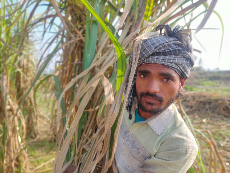 After months of backbreaking work cutting sugarcane, Kamaljit Paswan's body aches for days when he returns home to Bihar