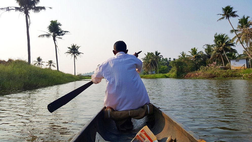 Babu Ulahannan moves around the 250 acres with the help of a wooden boat, called vallam in Malayalam. A stream runs that through this large field facilitates the travel