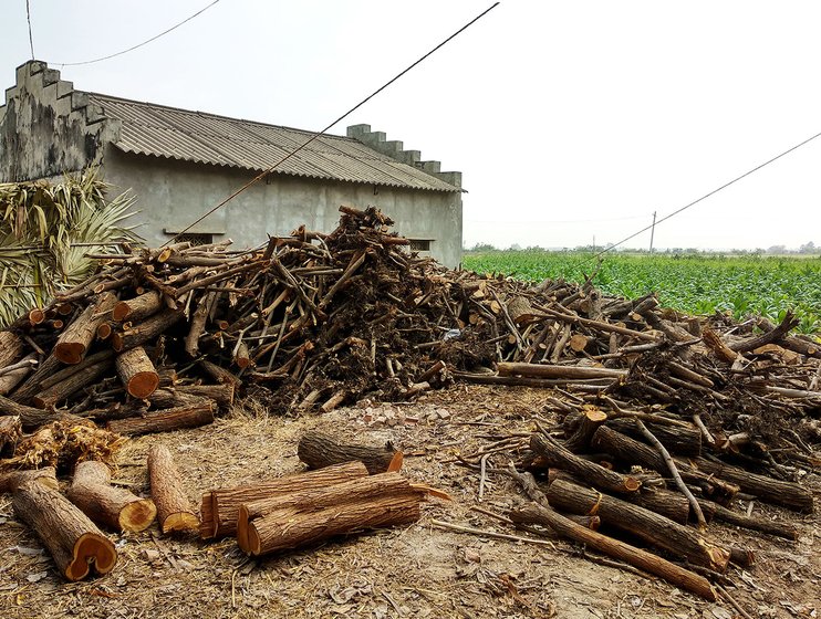 Firewood ready to be used in the barn at T Agraharam and a barn in the background