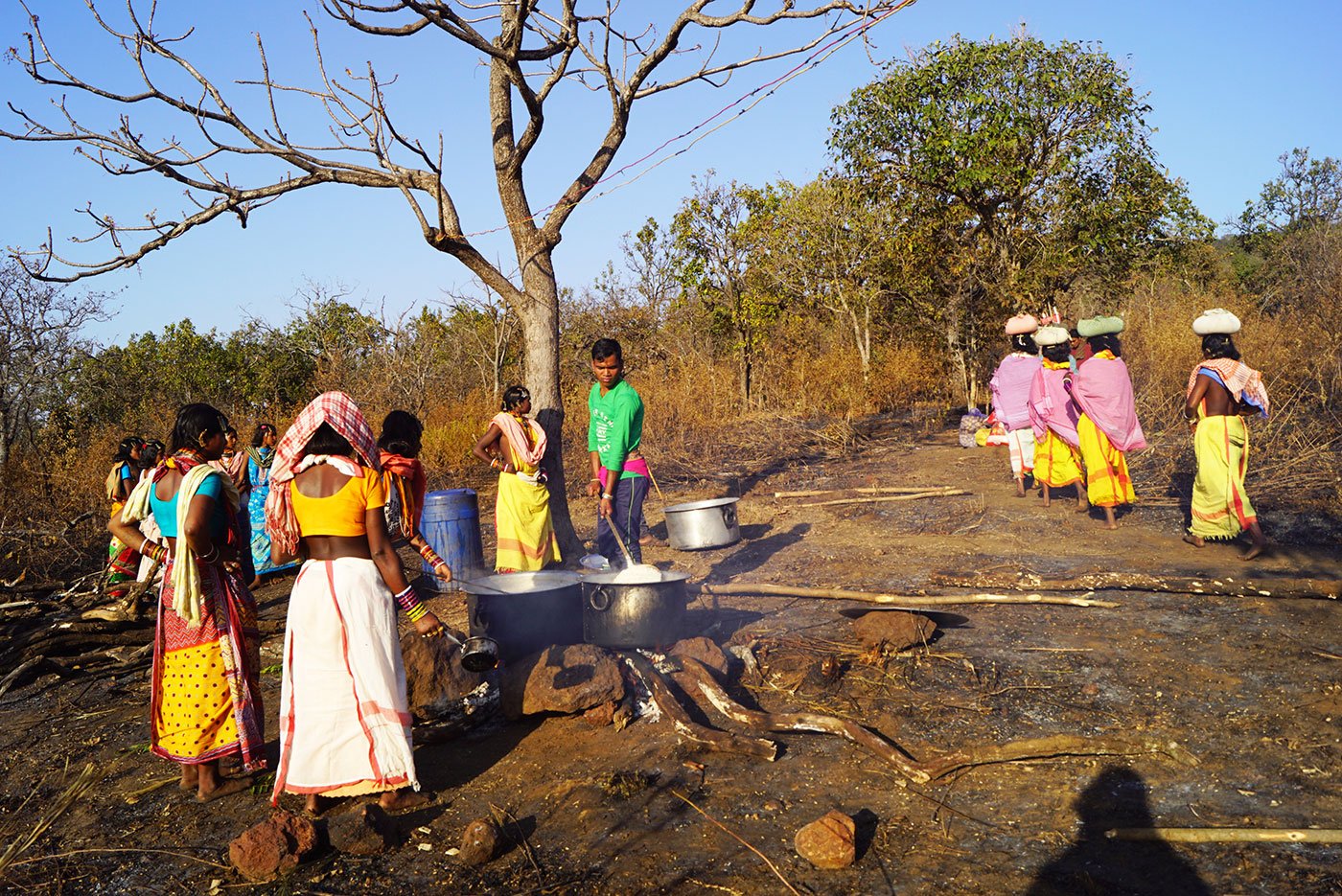 Tribal women cooking in an open field