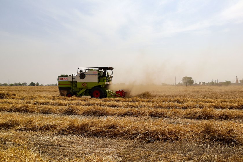 Right: Dried wheat fields being harvested using a harvester machine in Buttar Bakhua village. The rent for the mechanical harvester is Rs. 1,300 per acre for erect crop and Rs. 2,000 per acre if the crop is bent over