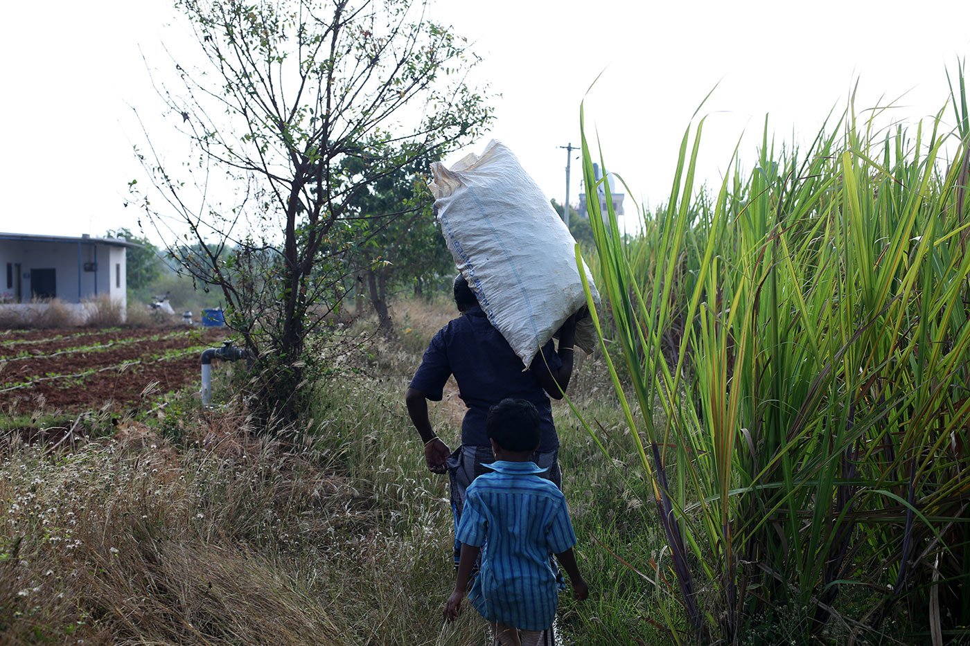 Iniya walks behind, as her mother carries home a sack of produce