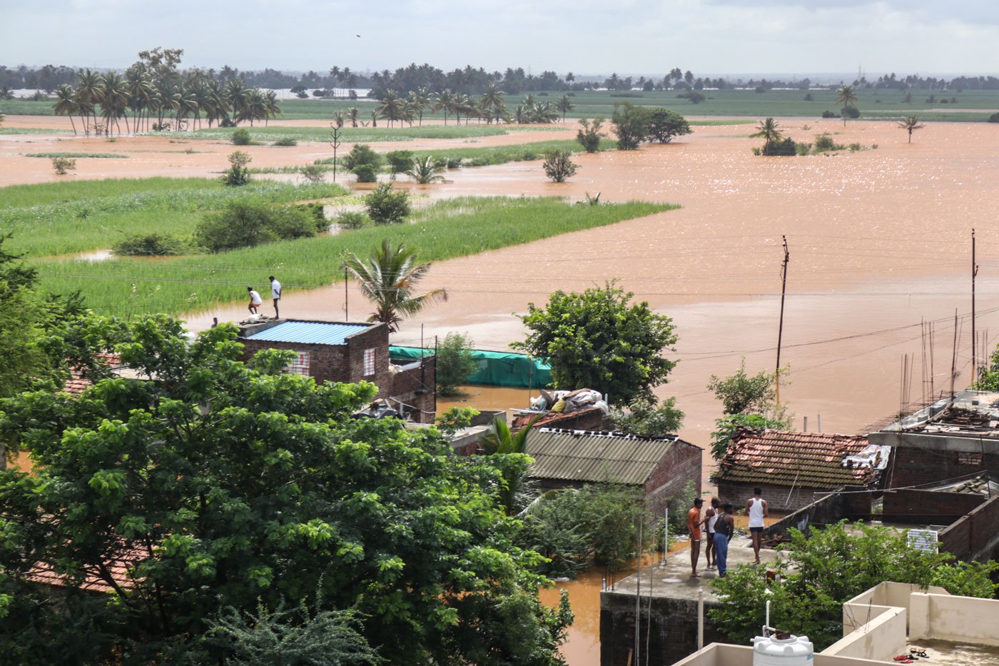 Flood water in the village of Udgaon in Kolhapur’s Shirol taluka . Incessant and heavy rains mean that the fields remain submerged and inaccessible for several days, making it impossible to carry out any work