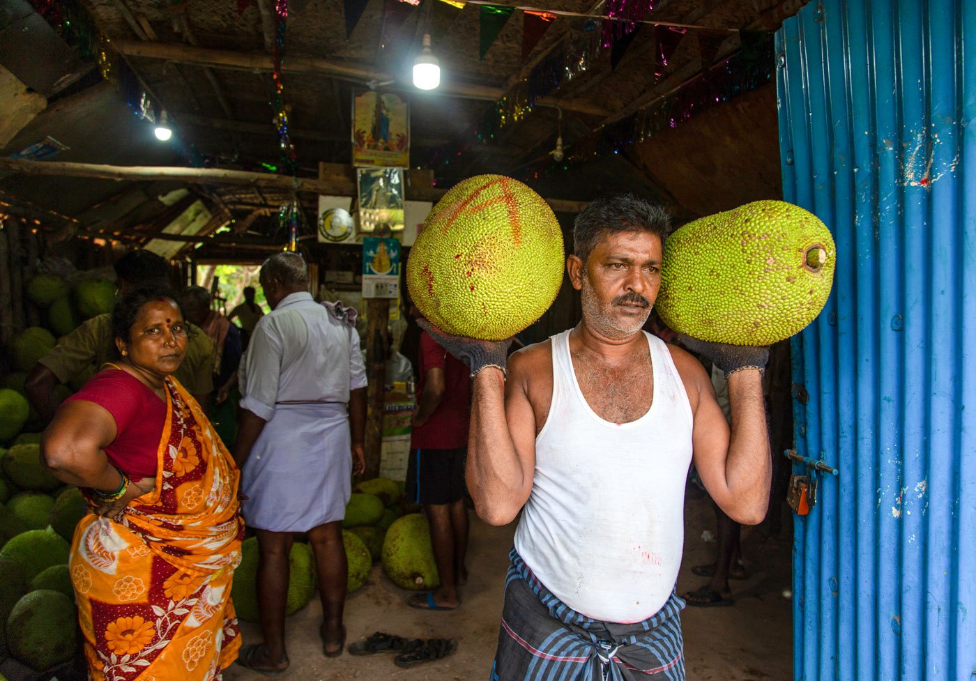 Jackfruits from Panruti are sent all over Tamil Nadu, and some go all the way to Mumbai