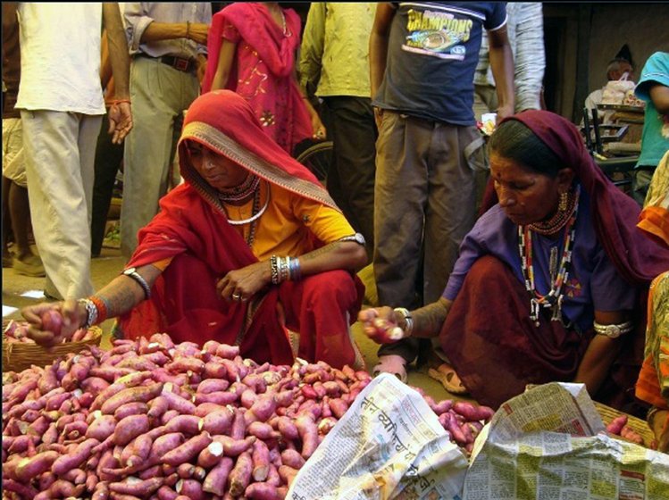 Women selling sweet potatoes grown on their farms at the haat (weekly market) in Valpur village in Alirajpur. The Adivasis sell a considerable amount of local produce in these haats, including jowar, bajra, maize, sesame, groundnut, onions and potatoes. They also buy some of their household and farm items here, such as salt, sugar, cooking oil, soap, ploughs and axes