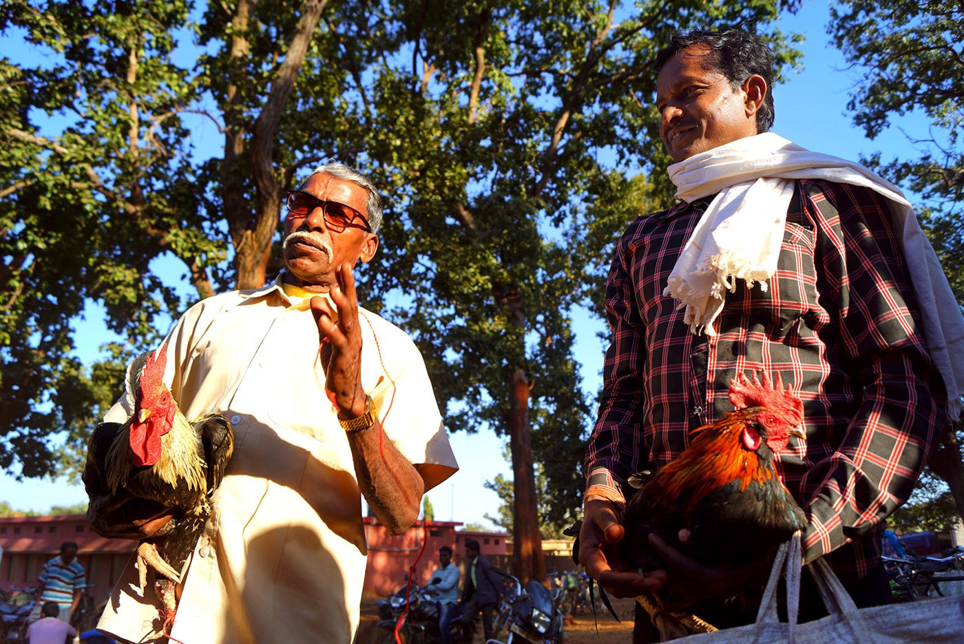 Ramchand Samrath (left, in white) from Amabeda village and Baiju, from Manku village wait for their roosters be paired before the fight