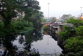 کوچی: نہر کے کنارے گندے پانی میں بسیرا