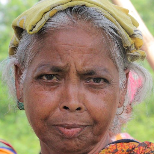 SALMA KHATUN is a Tea garden worker from Subarnapur, Mal, Jalpaiguri, West Bengal