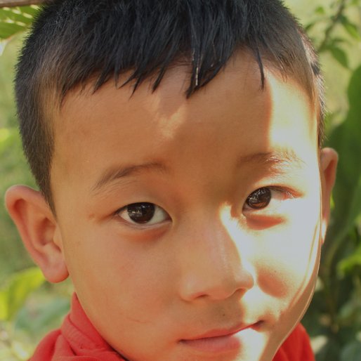 LEEZONG LEPCHA is a Student from Icha Forest, Kalimpong II, Kalimpong, West Bengal
