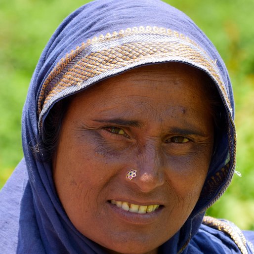 SIMA DEVI is a Farmer from Solang, Nagar, Kullu, Himachal Pradesh