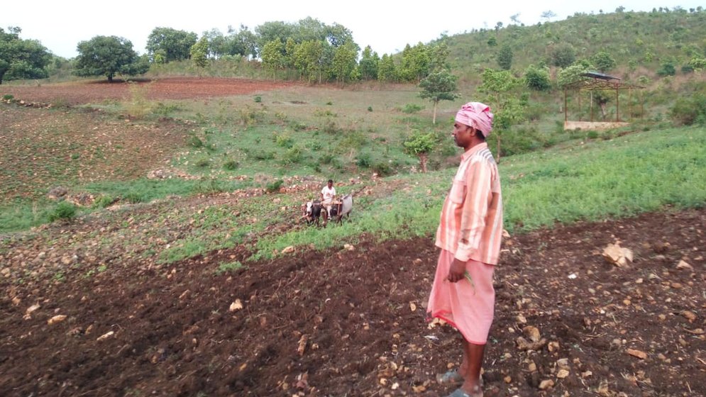 Dashrath's 2.5 acres of land yields just enough produce to feed his family
