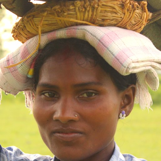 ROSHNI MUNDA is a Tea garden worker from Bara Maniram, Ashapur Tea Garden hamlet, Naxalbari, Darjeeling, West Bengal