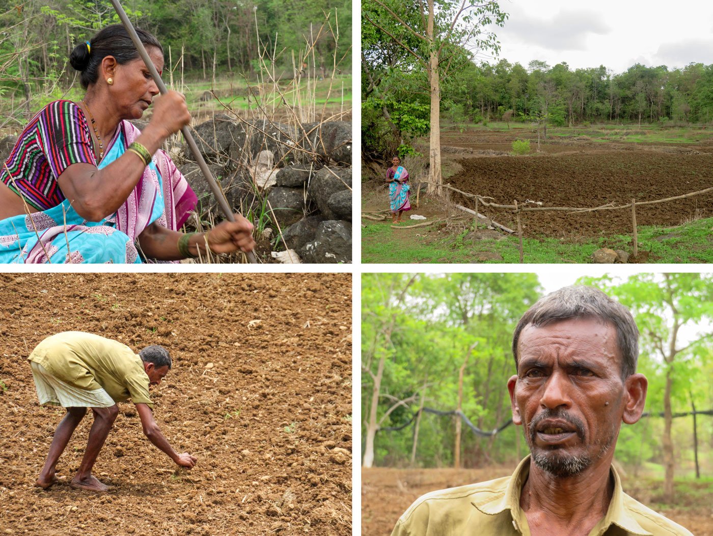 Top row: 'For a long time now, the rainfall is not according to the nakshatras,' says Indu Agiwale. Botttom row: Kisan Hilam blames hybrid seeds for the decreasing soil fertility

