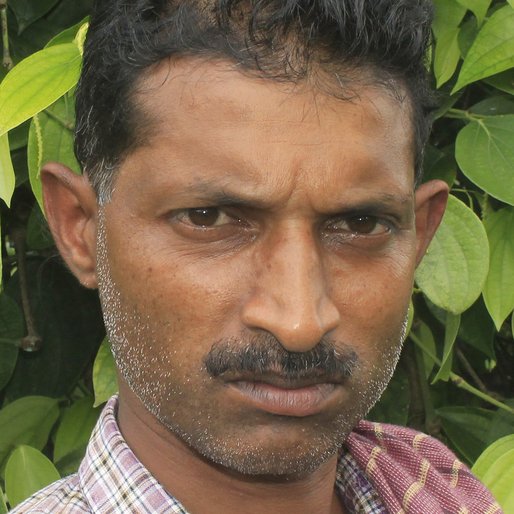 BIJUMON THOMAS is a Pepper plantation worker from Karimkulam Chappath, Kattappana, Idukki, Kerala