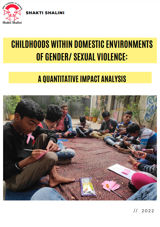 Childhoods Within Domestic Environments Of Gender/ Sexual Violence: A Quantitative Impact Analysis