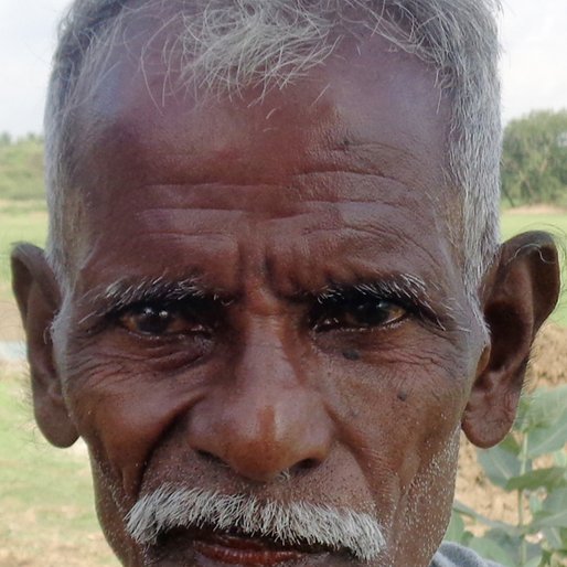 MUTHUVELAN is a Sheep farmer from Vaduvur, Needamangalam, Thiruvarur, Tamil Nadu