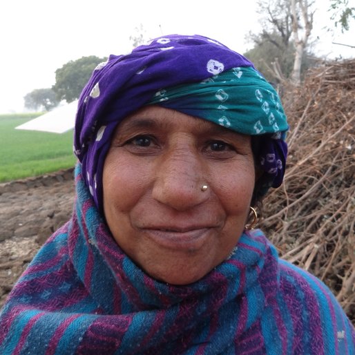 Rajbala is a Farmer and homemaker from Dhania, Sahlawas, Jhajjar, Haryana