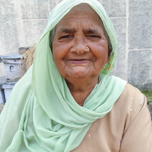 Krishna Devi is a Daily wage labourer and homemaker from Tatki, Babain, Kurukshetra, Haryana