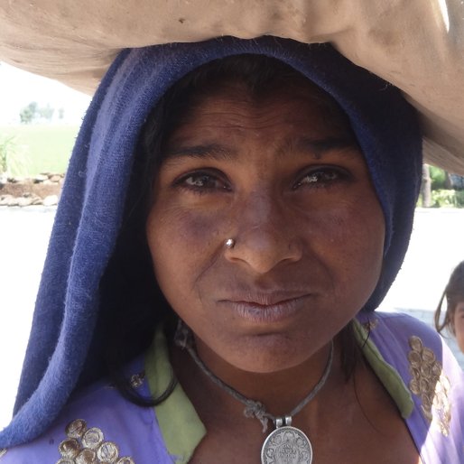 Sunita is a Traditional nomadic healer from Palra, Rai, Sonipat, Haryana