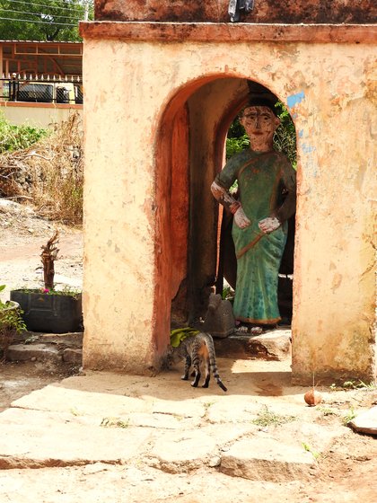 Janabai shrine outside Anjanabai's home visited by a devotee cat 